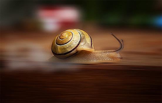 早安心语160621：无论世界对你怎样，都请一如既往努力