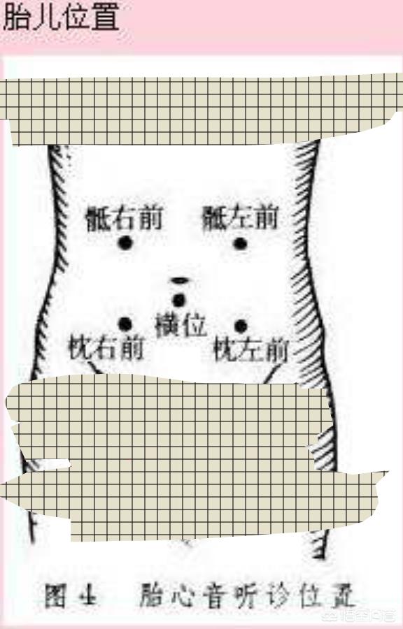 宝宝的胎心在哪个位置