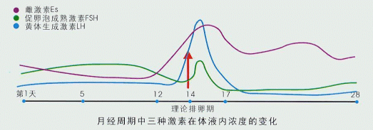 服用避孕药的下一个月的经期怎么推算