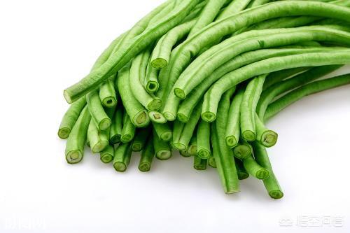 吃豆角为什么容易食物中毒