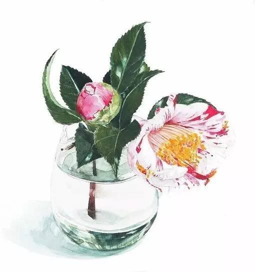 早安美图160701：普通朋友和真正朋友