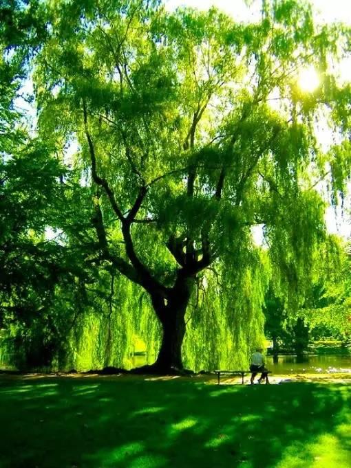 晚安美图160707：用最美的心情，过好自己的日子