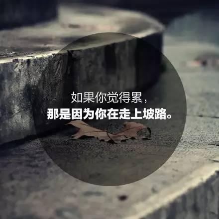晚安美图160703：2016年下半年加油！