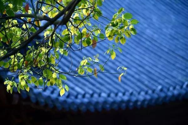 早安美图160708：愿意从认识你开始，暖你到老
