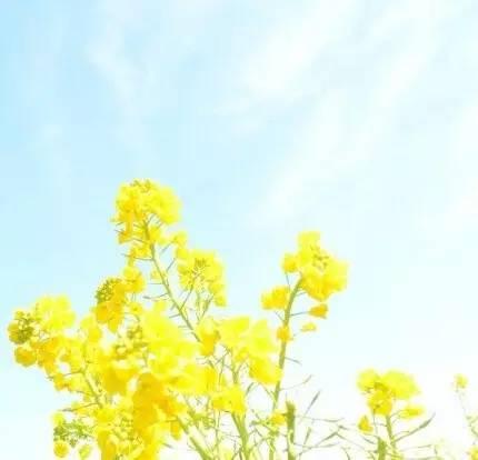 晚安美图160719：人字好写心难懂