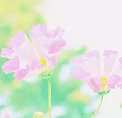 晚安美图160719：人字好写心难懂