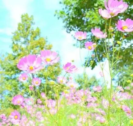 晚安美图160719：人字好写心难懂