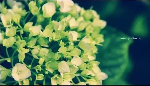 早安美图160723：随和是一种素质，一种文化，一种心态