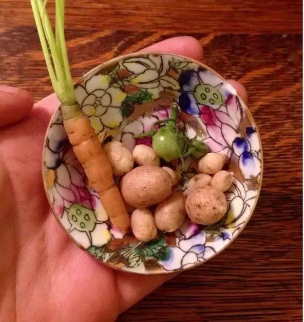 这些青菜水果真的很小,也太小了吧!