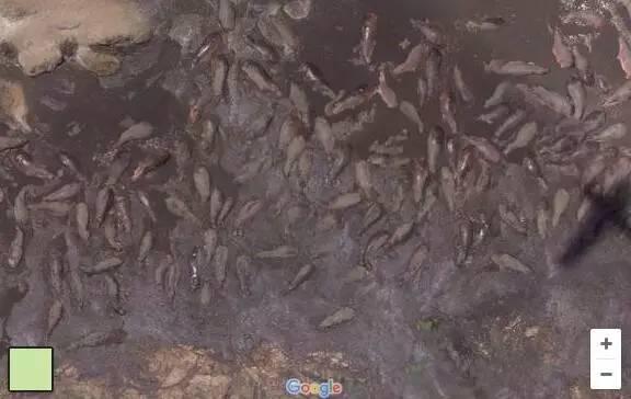 谷歌地球上13个神秘诡异的东西