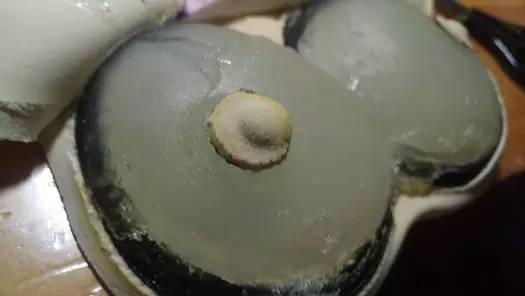 巨乳鼠标垫的里面原来是?