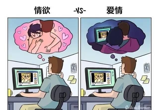 情欲和爱情有什么细节的差别？
