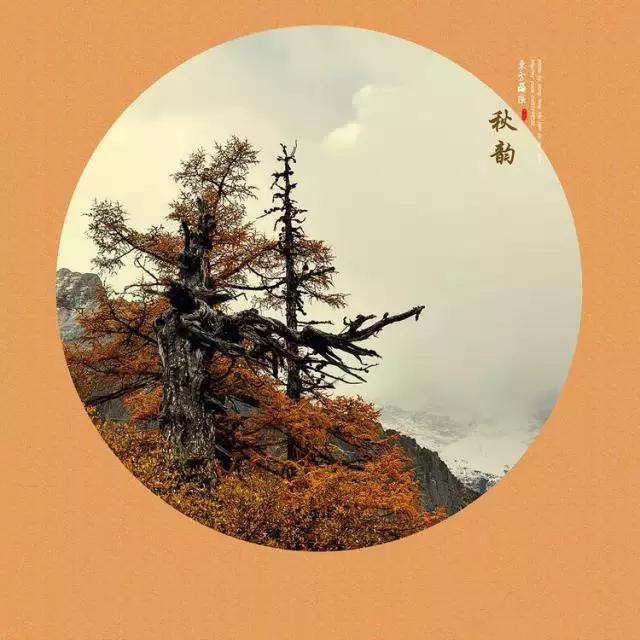 秋天的诗意暖心问候句子