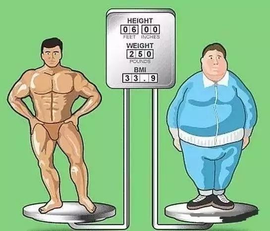 头条问答 脂肪(肥肉)和肌肉的区别在哪里(3个回答)