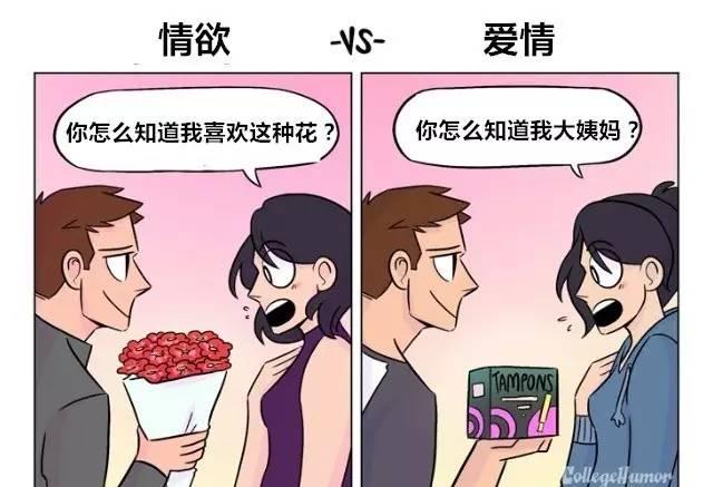 情欲和爱情有什么细节的差别？