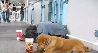 东西都准备好了，就问你一句嫁不嫁