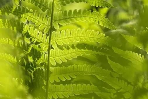 早安美图160919:现实就是不断磨练你