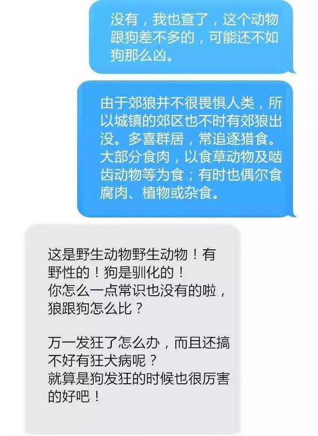 老婆把狼带回家，丈夫情绪很激动