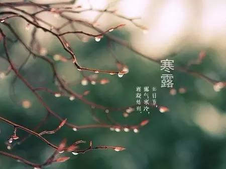 寒露节气的精彩祝福图片文字