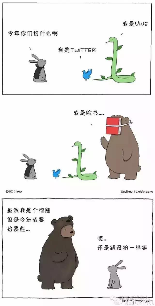 万圣节！动物们这样过万圣节