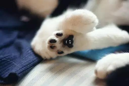 晚安美图161023：生活不是战场，无需一较高下