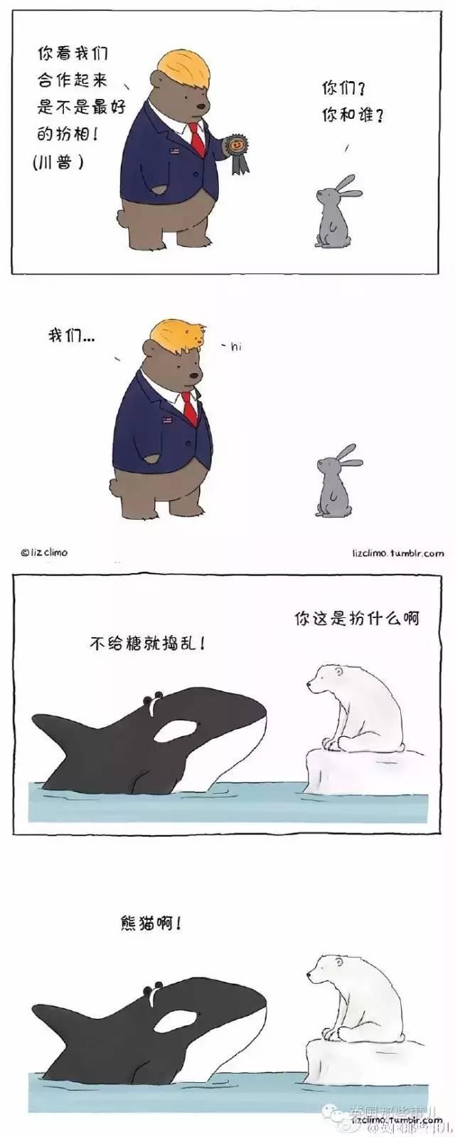万圣节！动物们这样过万圣节