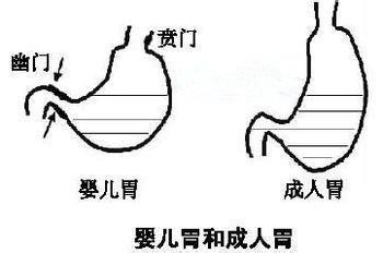 新生儿为什么特别容易溢奶