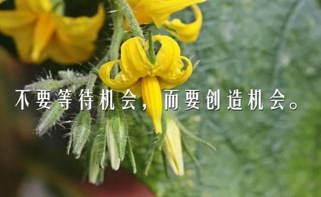 早安心语正能量180314：原地徘徊一千步，抵不上向前迈出第一步