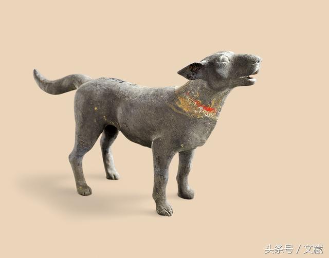 狗狗书籍全:与狗子交流沟通的书籍有哪些？