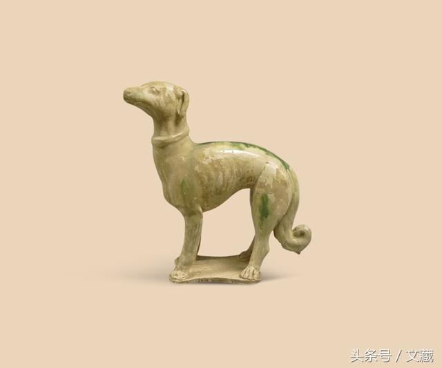 狗狗书籍全:与狗子交流沟通的书籍有哪些？
