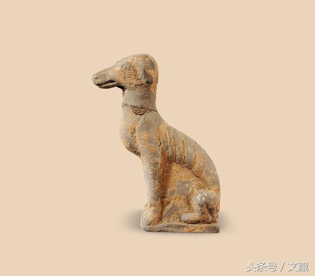 狗狗书籍全:与狗子交流沟通的书籍有哪些？