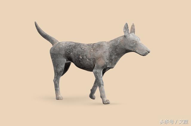 狗狗书籍全:与狗子交流沟通的书籍有哪些？