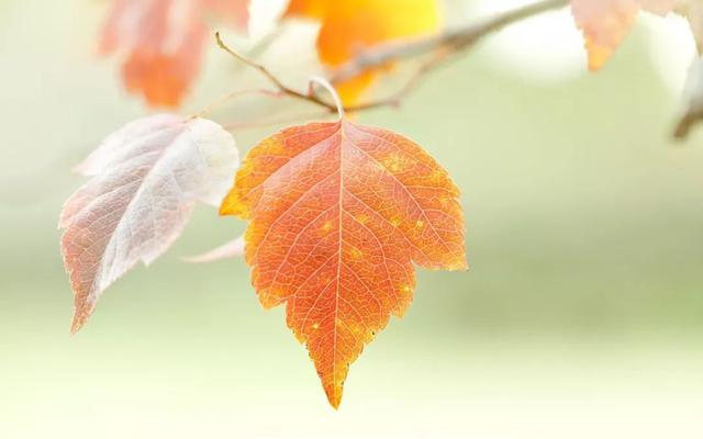 晚安文字180403：懂是一座桥梁