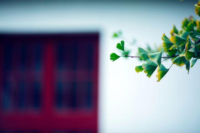 晚安心语180407:虽然痛苦，却依然要快乐，并相信未来
