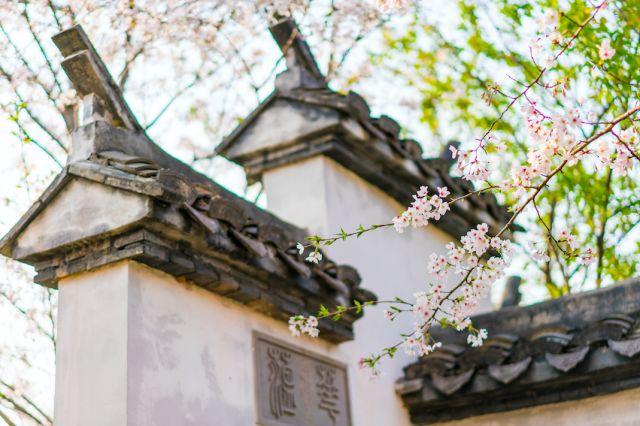 晚安美文180426:生活简单了,就有时间享受人生