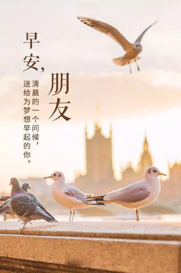 早安心语励志180531：纠结过去，担心未来，都不如抓住当下