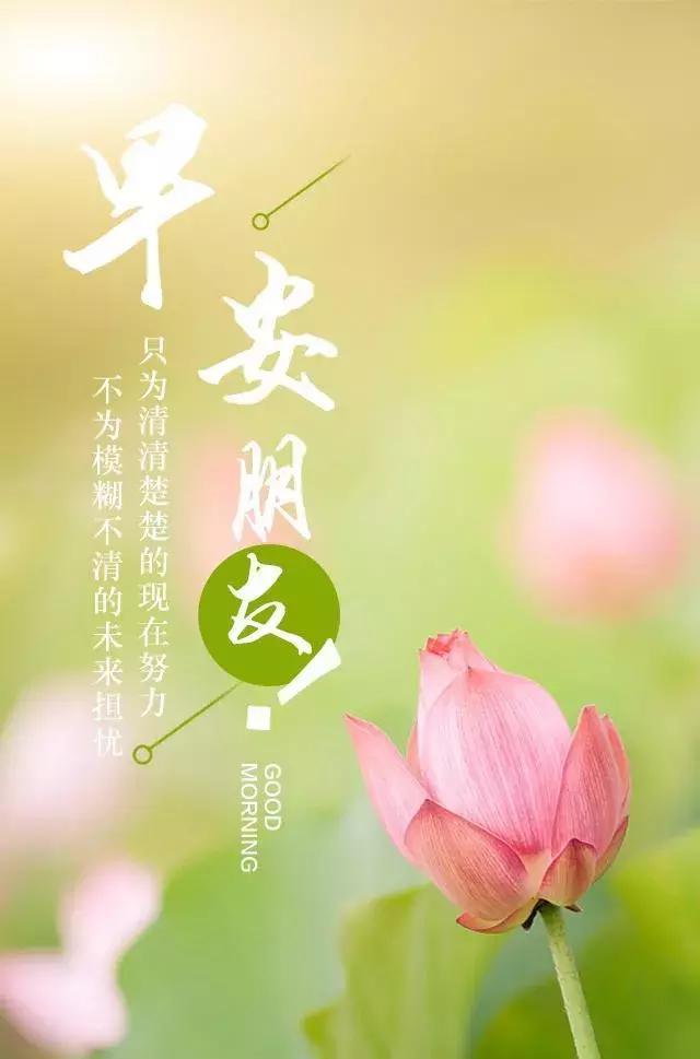 正能量早晨好语录：唯有你优秀了，你才会遇到更好的人