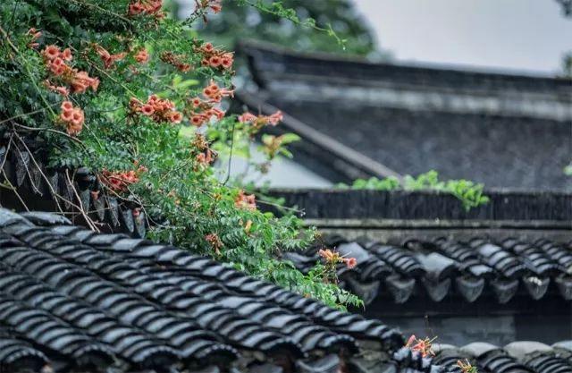 晚安文字180515：活在当下，正向提升