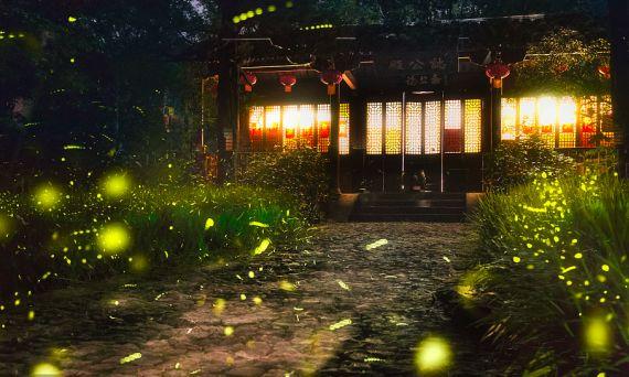 晚安文字180516：顶天立地做人无愧于己，光明磊落做事无悔于人