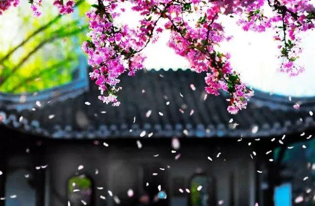 晚安美文180518：做人就要实实在在，做事就要诚心诚意