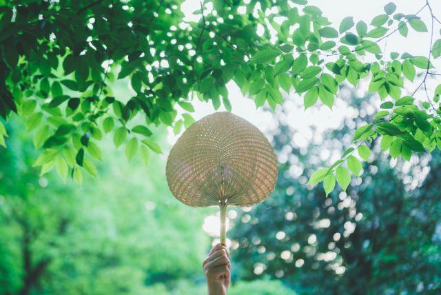 晚安感悟180526：成熟的人，话不多，沉默的人，会好过