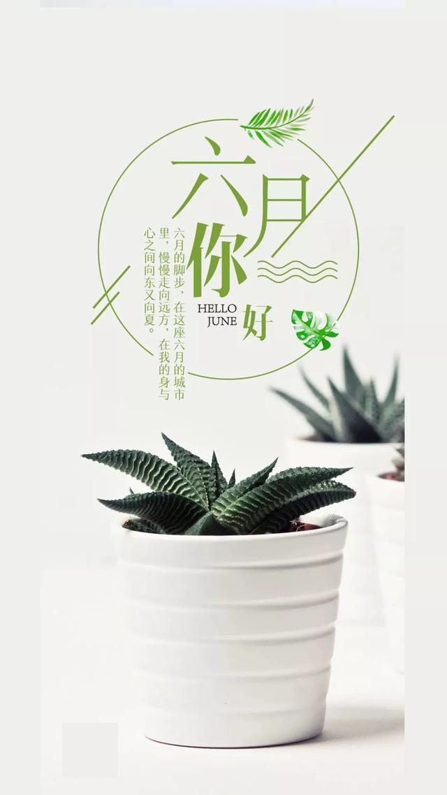 6月你好的美图大全,六月你好的图片集锦