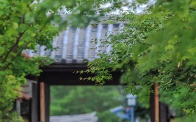 晚安感悟180605：平常心对平常事