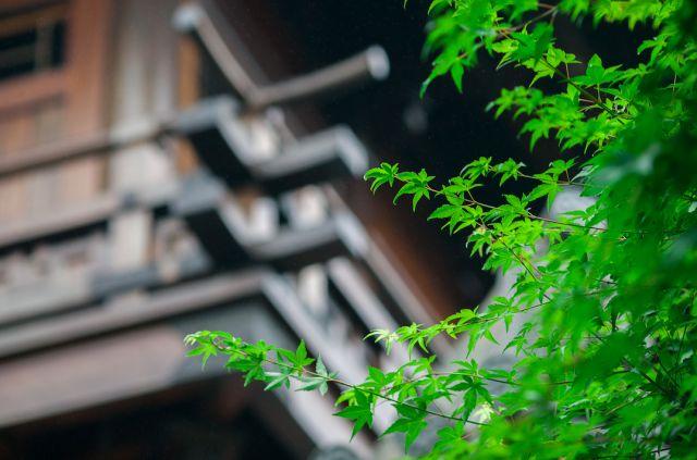 晚安感悟180605：平常心对平常事