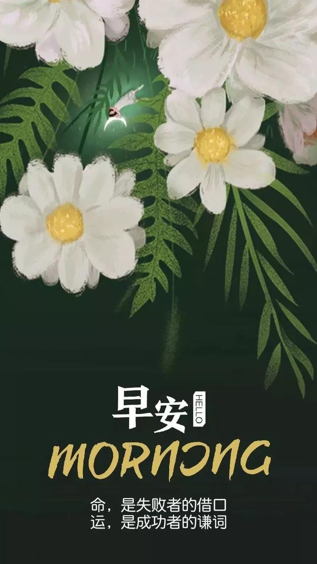 早安励志日签180605：不为昨天叹息，只为今天更美好