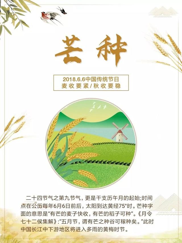 关于芒种的精美图片大全集锦，芒种的问候句子
