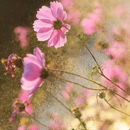 晚安感悟180702：感情需要的是理解，陪伴需要的是耐心