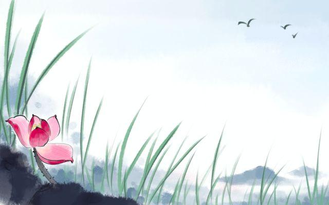晚安人生感悟180705：心如莲，念如菩提