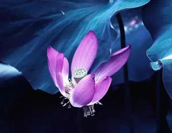晚安语录180711：当你看清了自己的样子，就能吸引到对的人了
