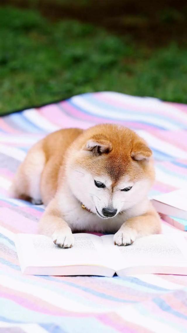 晚安句子180712：你想的人早就睡了，你也早点睡吧